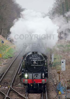Purchase photo of 60163 TORNADO at Virginia Water